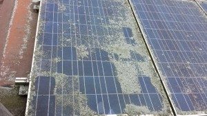 zonnepanelen schoonmaken ernstige vervuiling